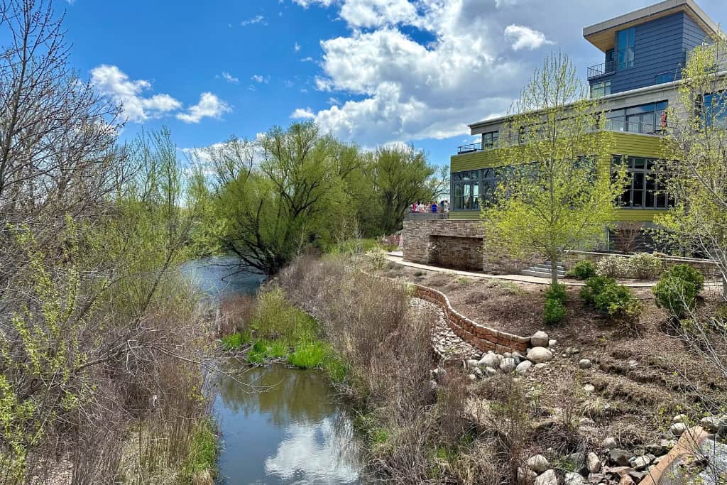 Spring in Fort Collins